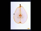 2000 London International Awards - Finalist - Print: Apparel