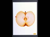 2000 London International Awards - Finalist - Print: Apparel