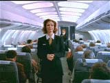 The Stewardess