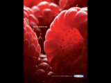 Respberry (vertical)
