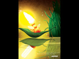 Firefly Reflection