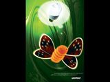 Moth Dream