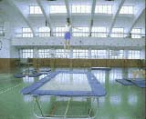 The Trampoline