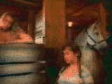 Centaur
