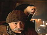 Monkey