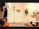 Rubbish Chute