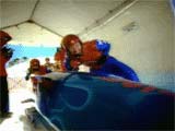 Bobsled