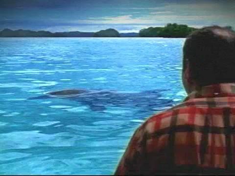 Dolphin