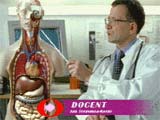 Medical Facts