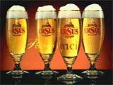 Ursus Glasses