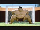 Sumo