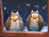The Owls