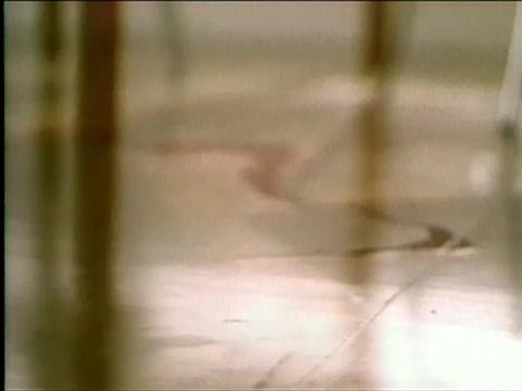 2003 AdFest - Bronze - Public Service Messages & Cause Appeals