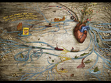 2009 CLIO Awards - Bronze - Foods Campaign