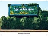 Private Investigators