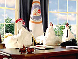 Chicken Across America