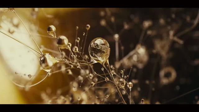 2012 Cíclope - Silver - Animation - 3D