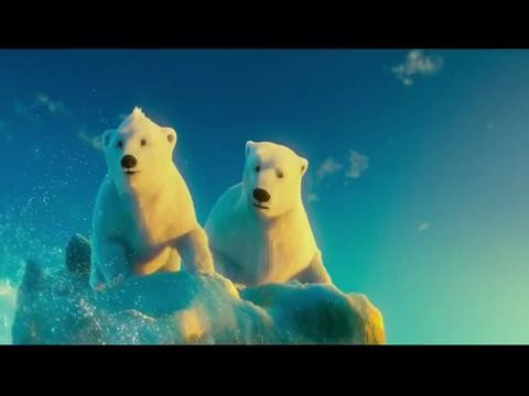 Bears Film 2013