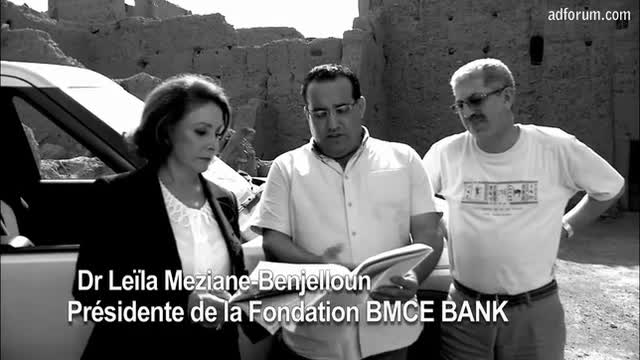 2013 Filmservice International - Gold - Education