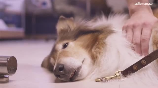 Reveille