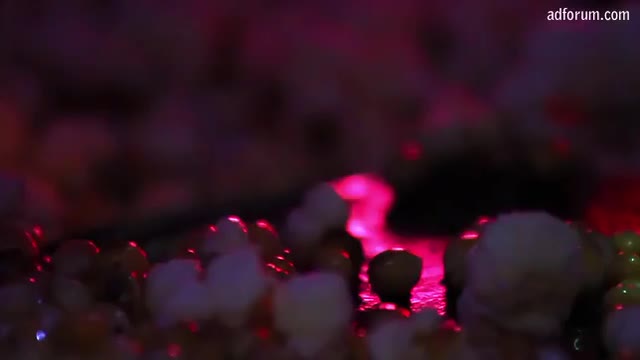 Pop Secret MicroRave