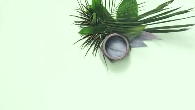 HERMÈS 2014 : Métamorphose