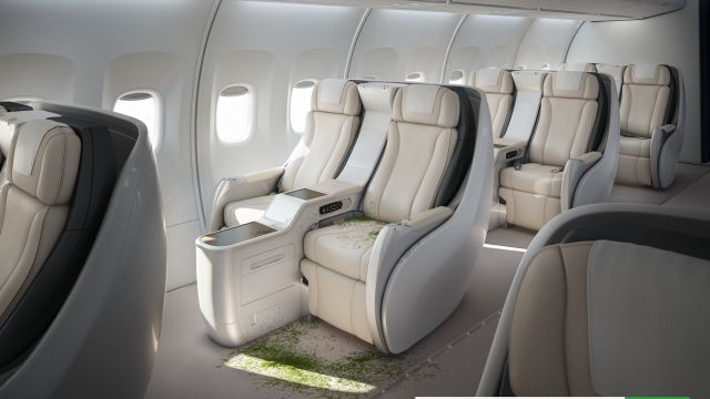 Plane