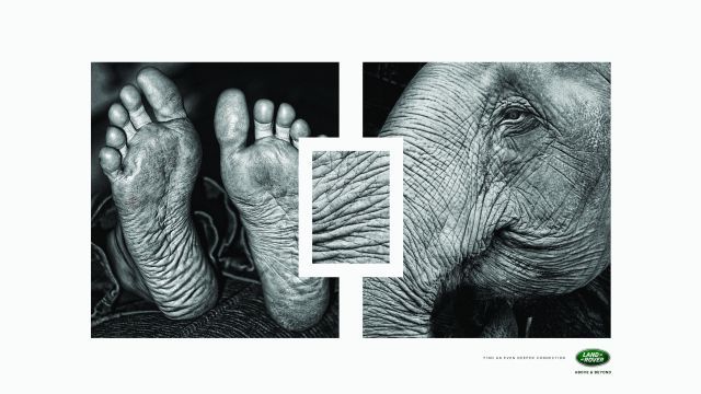 2015 Lions - Silver Lion Campaign - Corporate Image & Communication