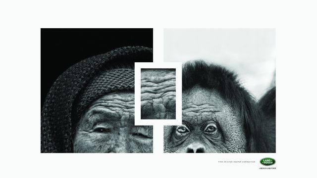 2015 Lions - Silver Lion Campaign - Corporate Image & Communication