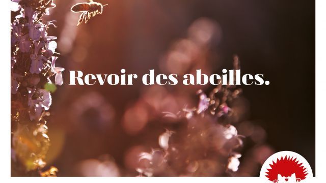 Revoir des Abeilles