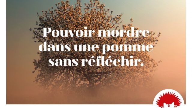 Pouvoir mordre dans une pomme sans réfléchir 
