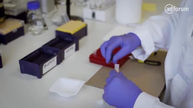Marmite Gene Project