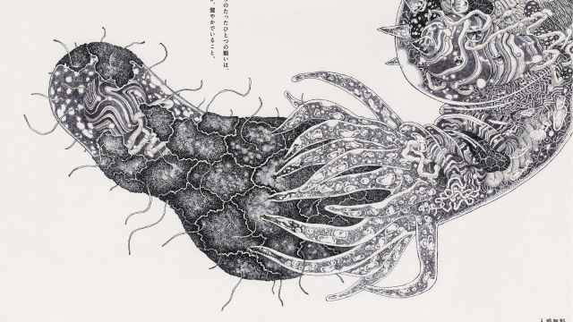 You and Immune System