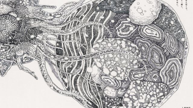 You and Immune System 2