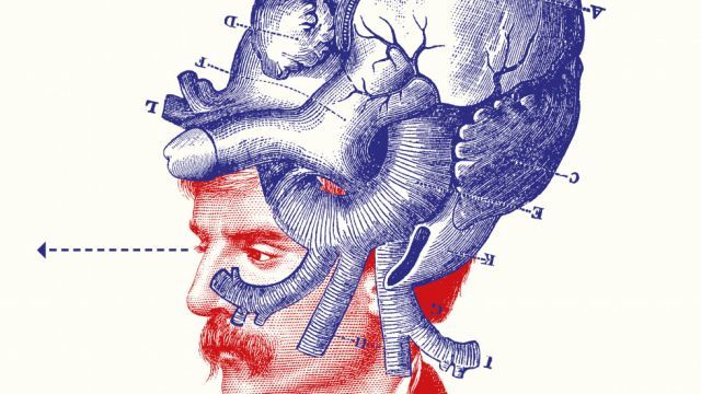 2018 Le Club des Directeurs Artistiques - Nomination  - Illustration pour l'édition, la culture, la presse etc… 
