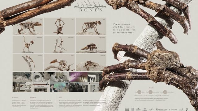 Deforested Bones Board