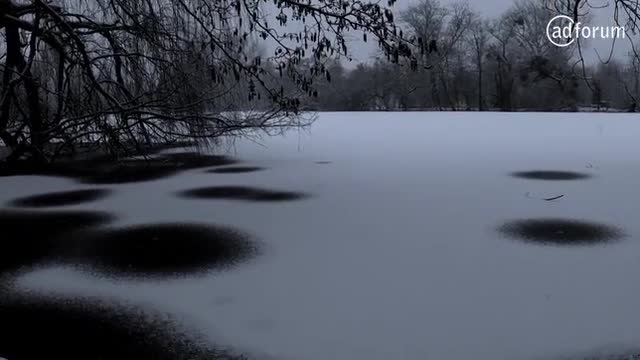 Trapped Under the Ice