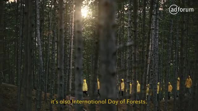 Reasons to Celebrate
