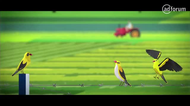Wise Little Birds
