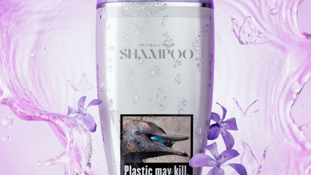 Shampoo