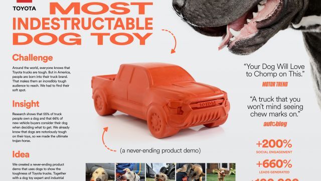 Tacoma Dog Toy (Board)