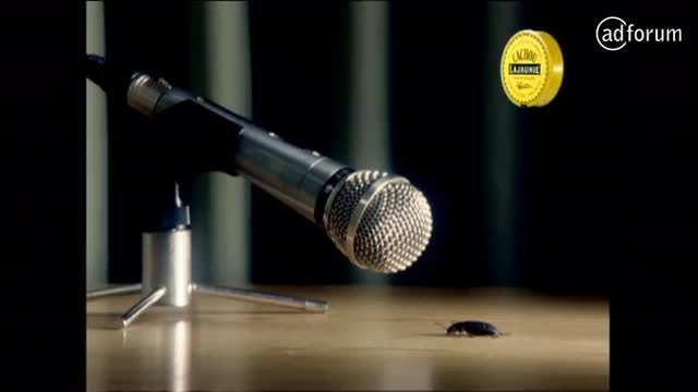 Cafard au micro