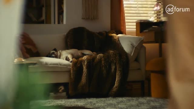 Homer, the homebody