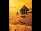 Bungalow in the Sunset