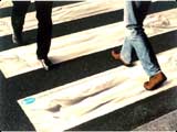 2004 ADC Annual Awards - Gold - Collateral Advertising - Campaign