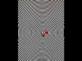 2004 ADC Annual Awards - Gold - Consumer Magazine Campaign (Student)