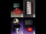 WWF 2