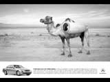 Camel