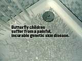 Butterfly Children