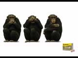 3 Apes